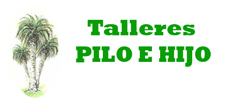 TALLERES PILO E HIJO